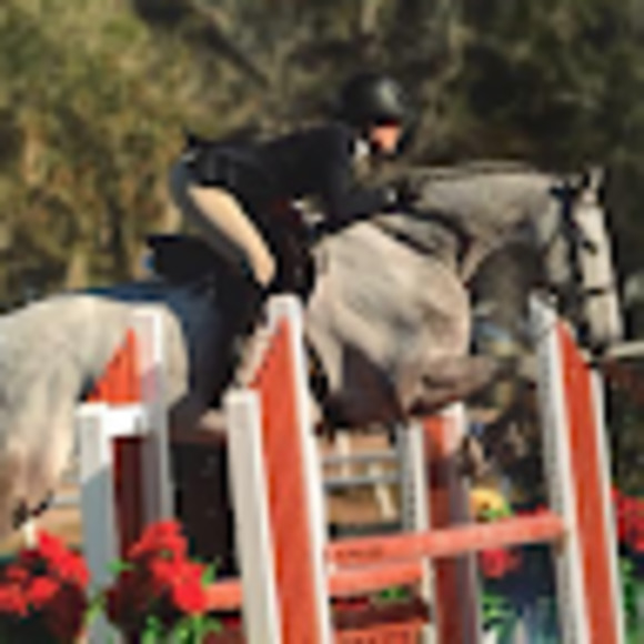 Meet your Posher, Lily - Picture 1 of 1